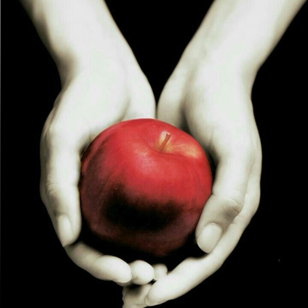 Meet your Posher, Jessie